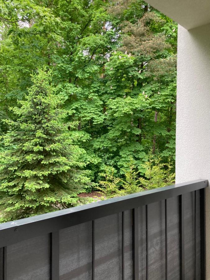 Apartament 221 Przy Niedzwiadku Polanica-Zdrój Zewnętrze zdjęcie
